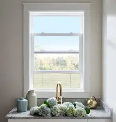 Single Hung Window